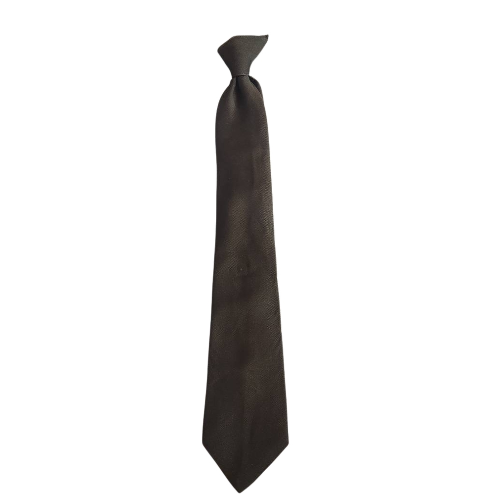 Classic American Edition Brown Men's Clip On Tie